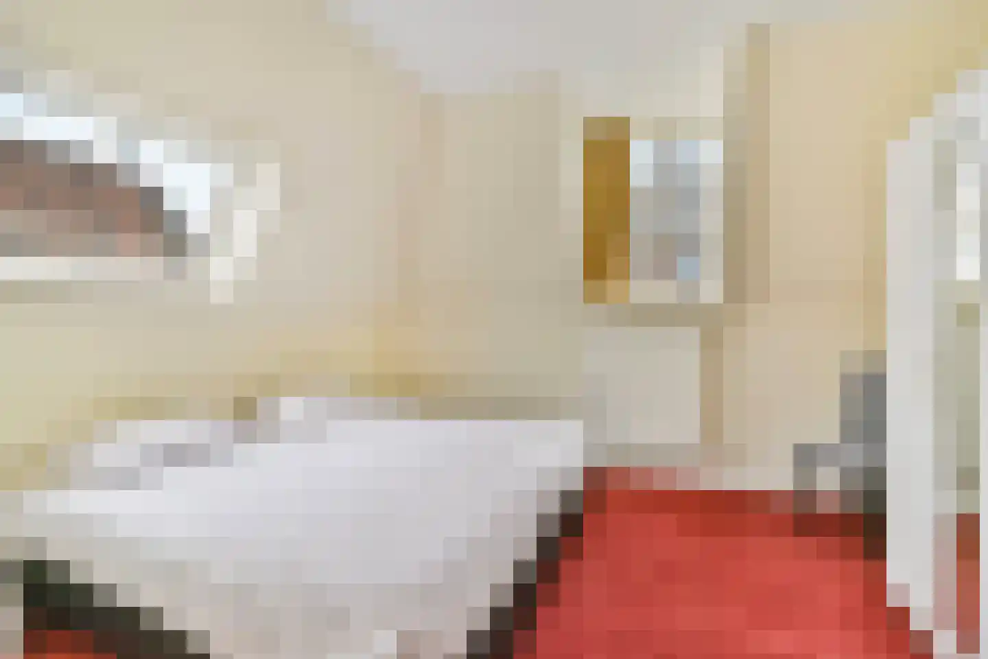 Groenhazengracht 2 Leiden thumbnail 17