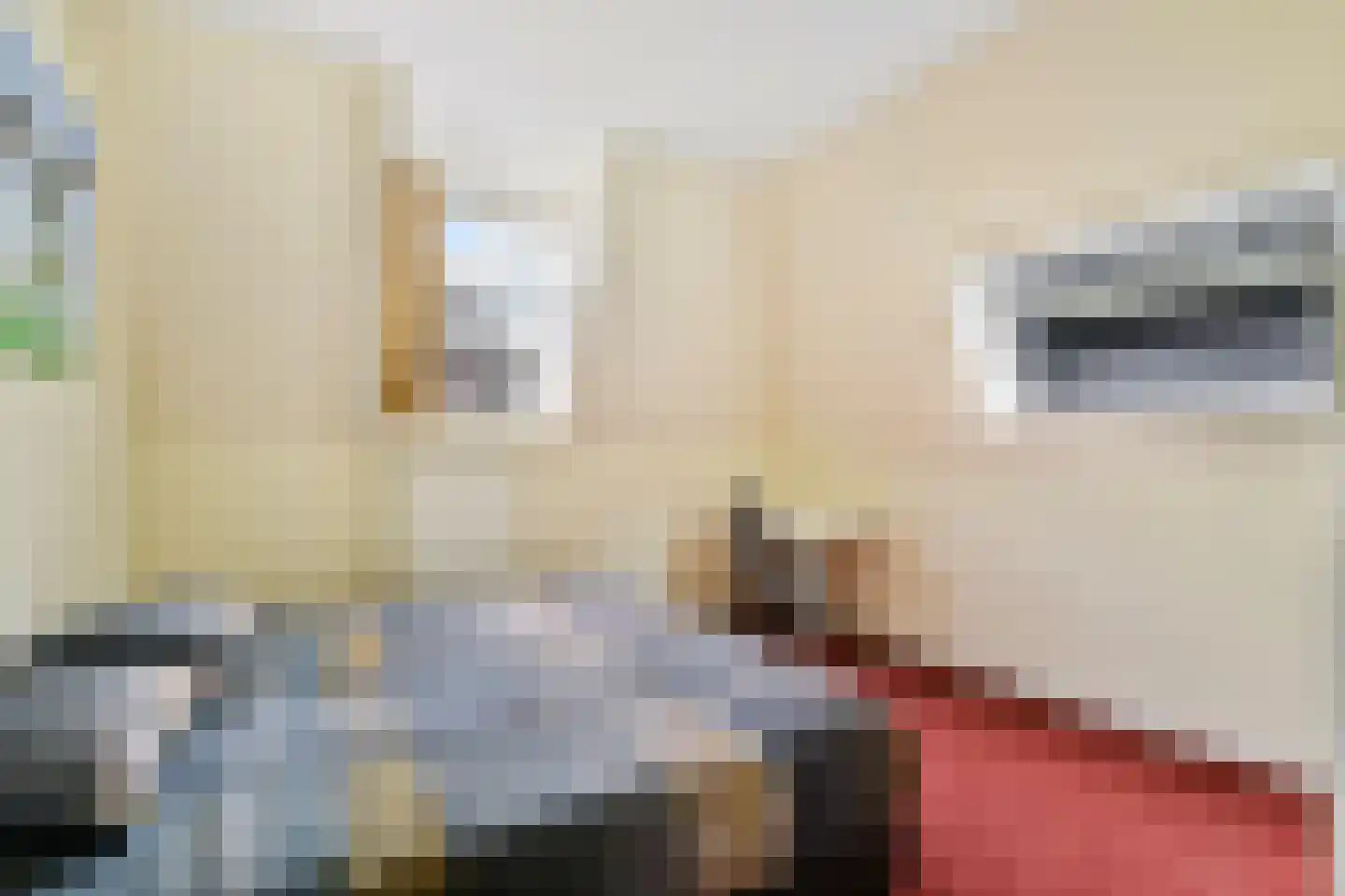 Groenhazengracht 2 Leiden thumbnail 19