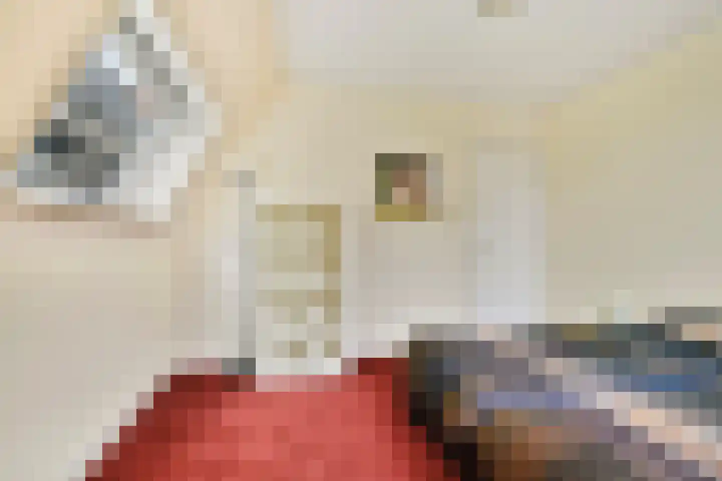 Groenhazengracht 2 Leiden thumbnail 20
