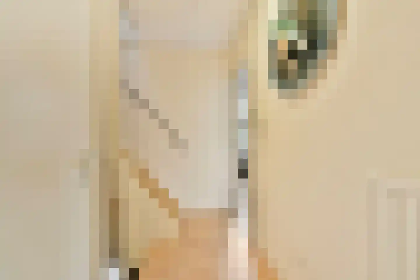 Groenhazengracht 2 Leiden thumbnail 6