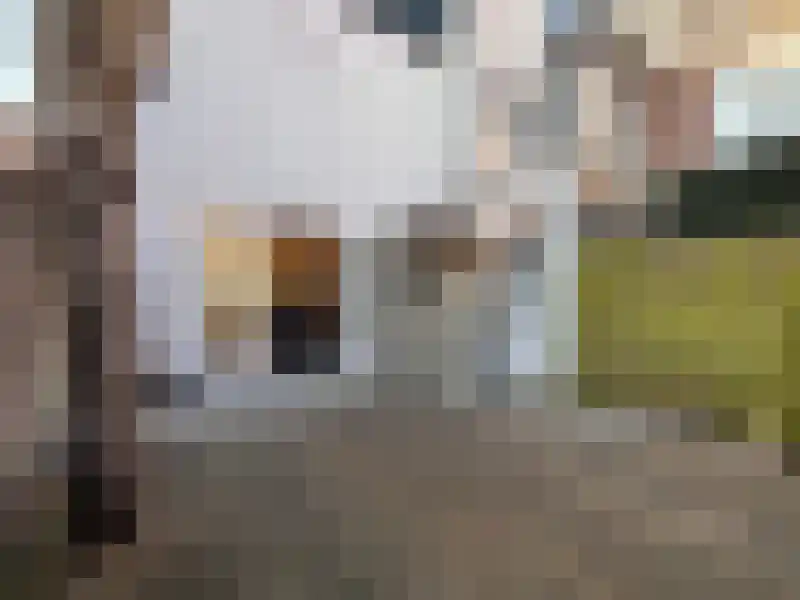 Groenhazengracht 25 Leiden thumbnail 6