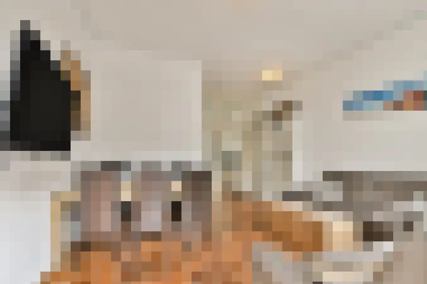 Groenhazengracht 4 A Leiden thumbnail 6