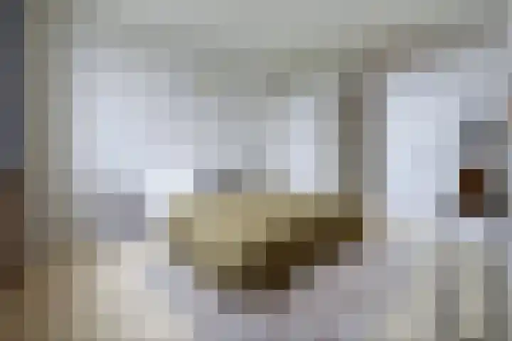 Groenhoedenveem 37 Amsterdam thumbnail 17