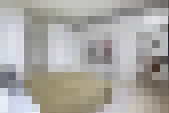 Groenhoedenveem 37 Amsterdam thumbnail 23