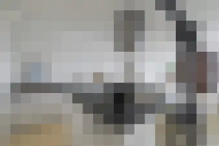 Groenhoedenveem 37 Amsterdam thumbnail 31