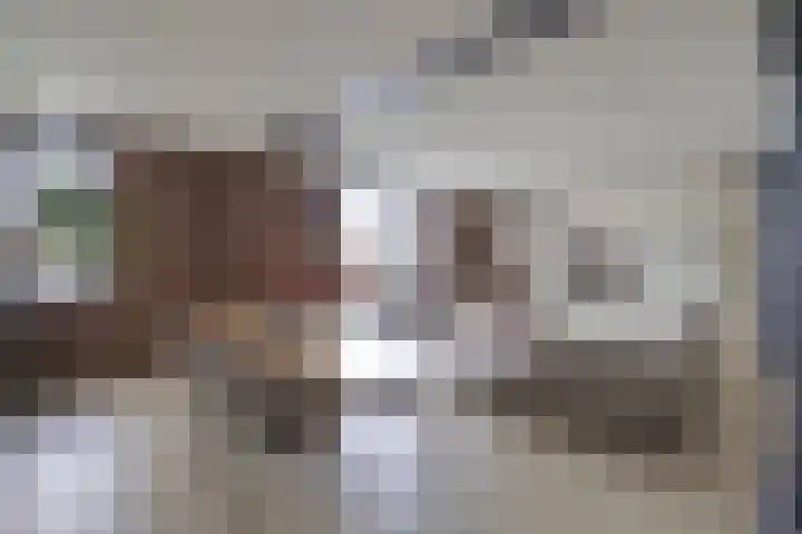 Groenhoedenveem 37 Amsterdam thumbnail 32