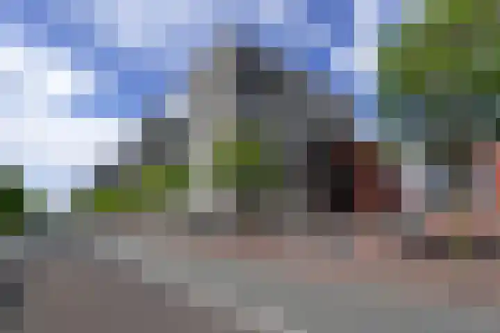 Groenhoedenveem 37 Amsterdam thumbnail 37