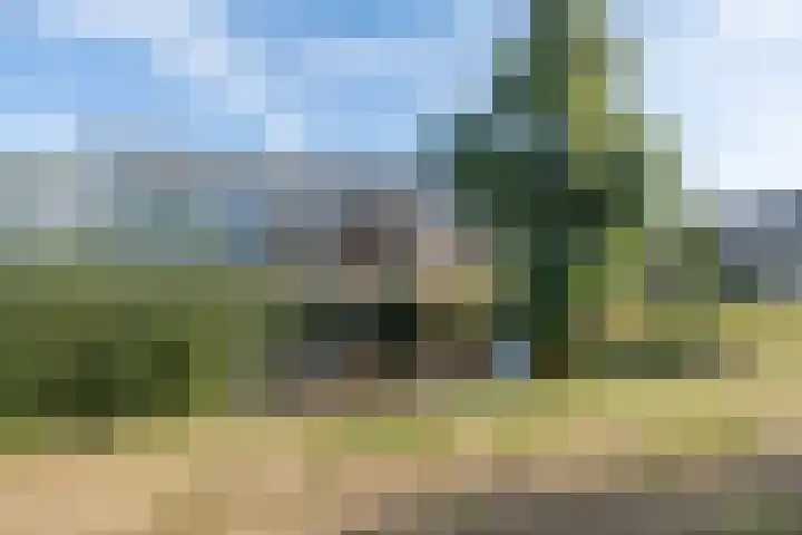 Groenhoek 142 c Driebergen-Rijsenburg thumbnail 37