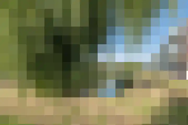 Groenhoek 142 c Driebergen-Rijsenburg thumbnail 39