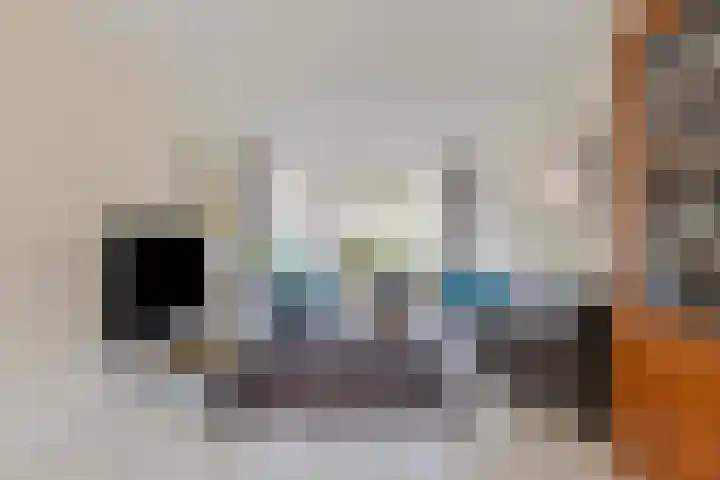 Groenhoevelaan 6 Oegstgeest thumbnail 14