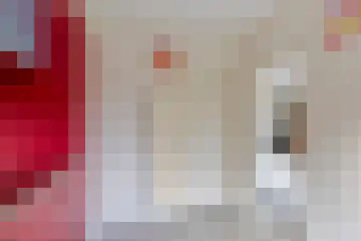 Groenhoevelaan 6 Oegstgeest thumbnail 22