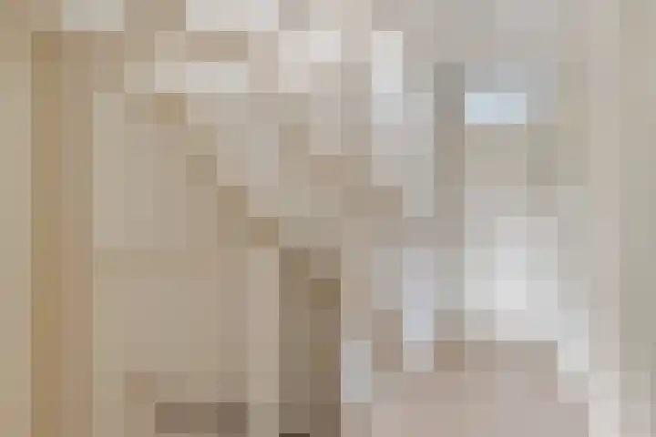 Groenhoevelaan 6 Oegstgeest thumbnail 23