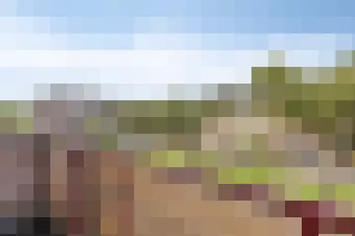 Groenhoevelaan 6 Oegstgeest thumbnail 27