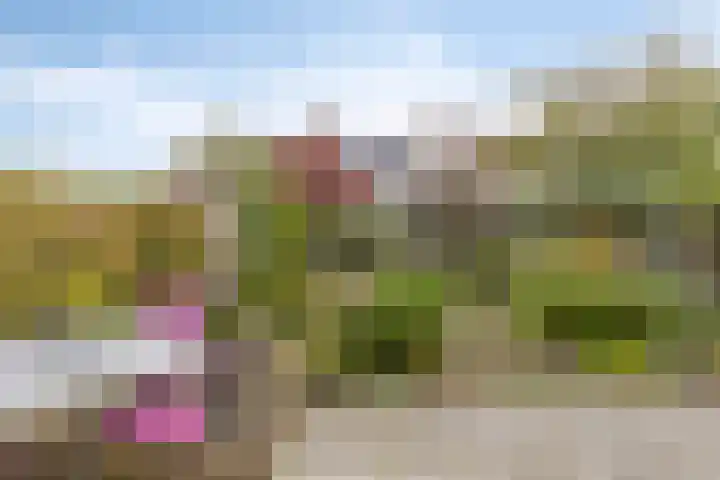 Groenhoevelaan 6 Oegstgeest thumbnail 41