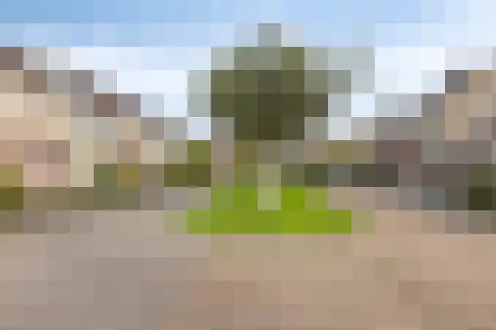 Groenhoevelaan 6 Oegstgeest thumbnail 9