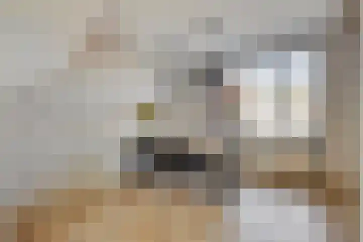 Groenhoeven 26 Wanroij thumbnail 11