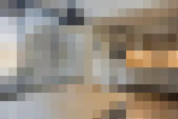 Groenhoeven 26 Wanroij thumbnail 12