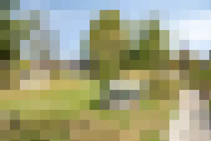 Groenhoeven 26 Wanroij thumbnail 37