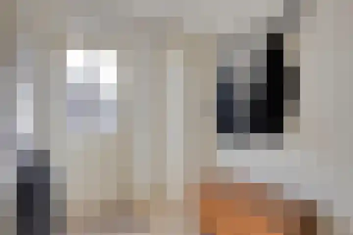 Groenhoeven 26 Wanroij thumbnail 6