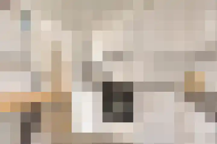 Groenhoeven 28 Wanroij thumbnail 11