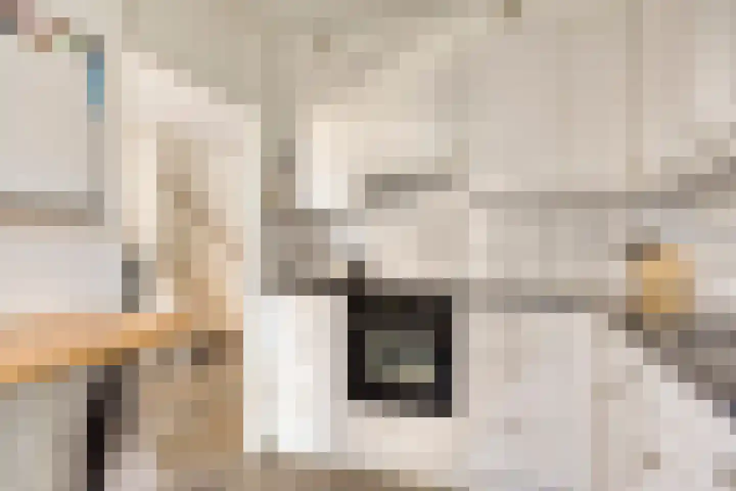Groenhoeven 28 Wanroij thumbnail 11