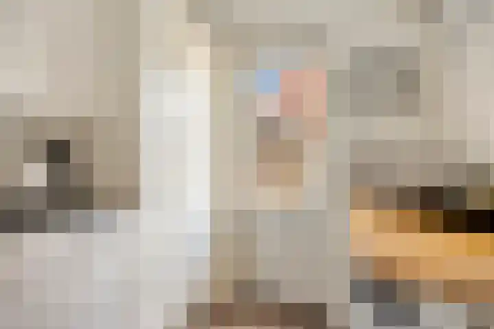 Groenhoeven 28 Wanroij thumbnail 14