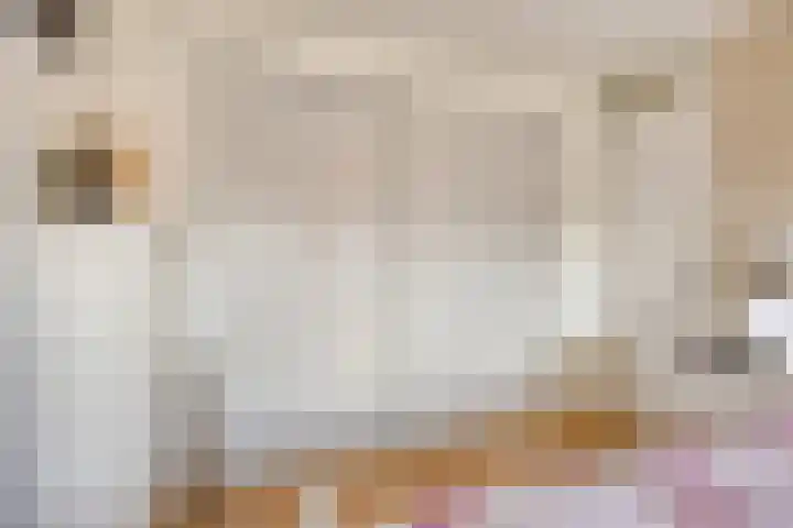 Groenhoeven 28 Wanroij thumbnail 20