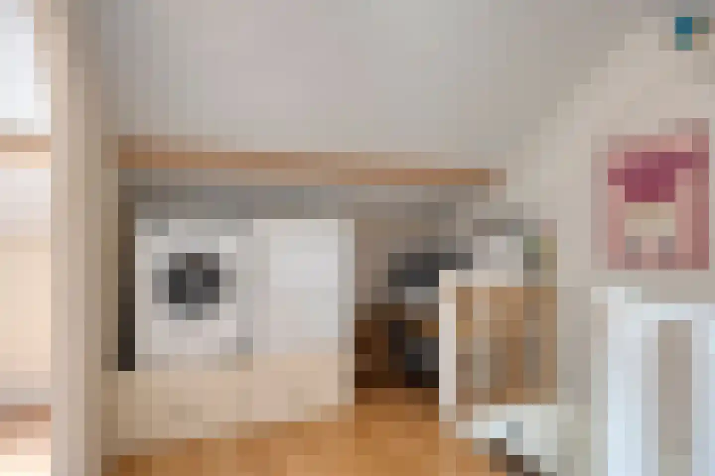 Groenhoeven 28 Wanroij thumbnail 27