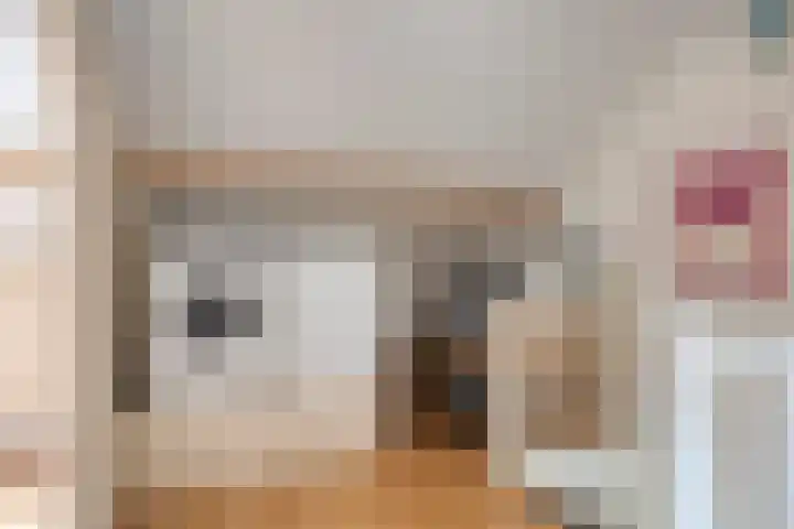 Groenhoeven 28 Wanroij thumbnail 27