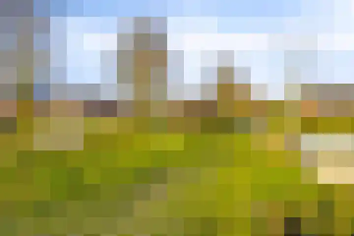 Groenhoeven 28 Wanroij thumbnail 43