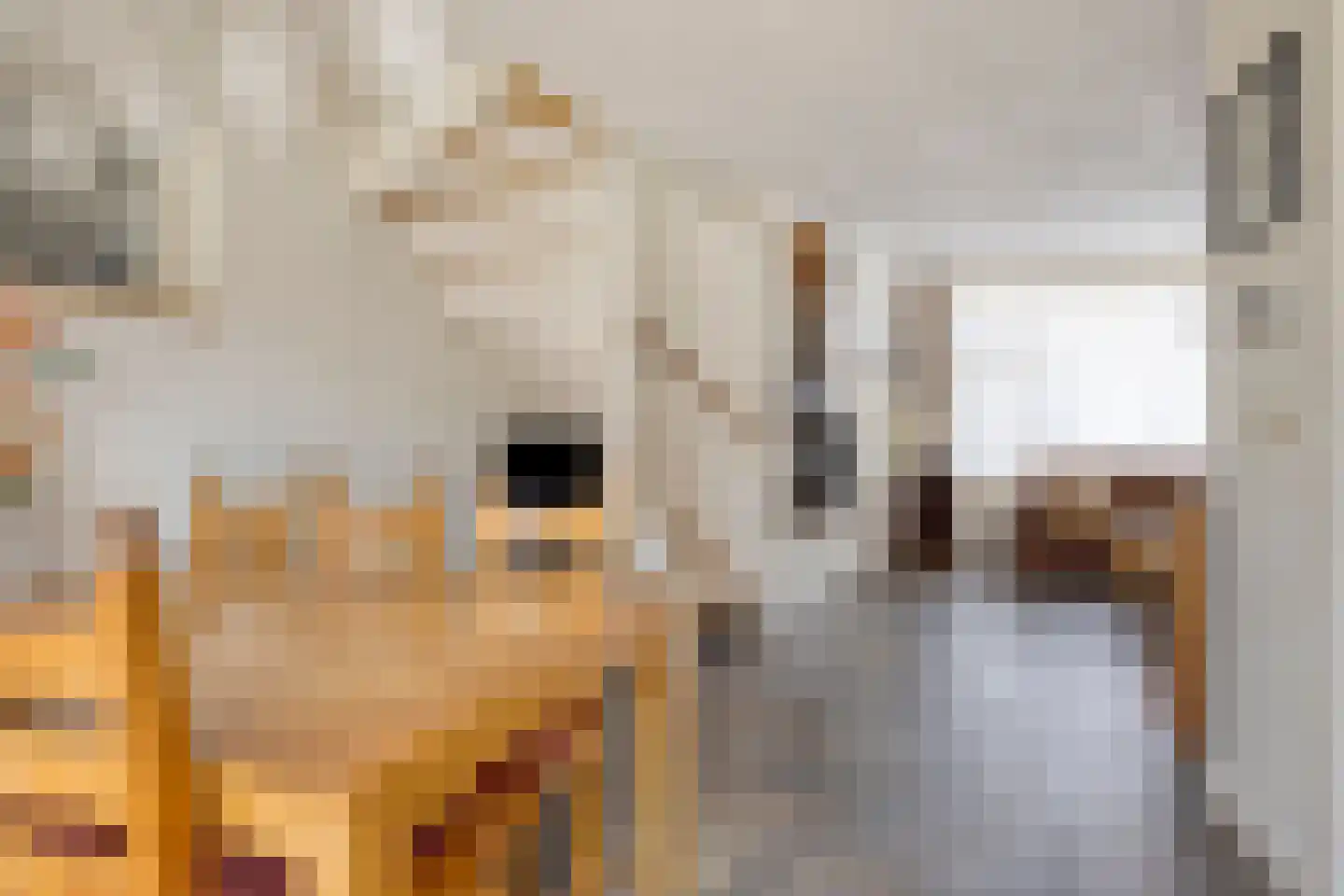 Groenhoeven 28 Wanroij thumbnail 9