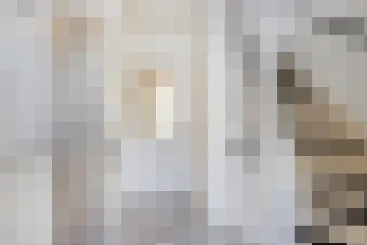 Groenhoeven 33 Wanroij thumbnail 14