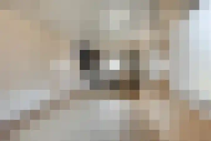 Groenhoeven 33 Wanroij thumbnail 28