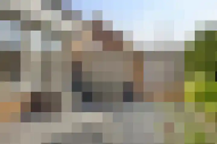 Groenhoeven 33 Wanroij thumbnail 32