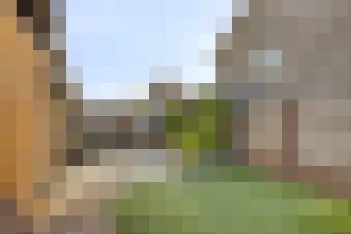 Groenhoeven 33 Wanroij thumbnail 33