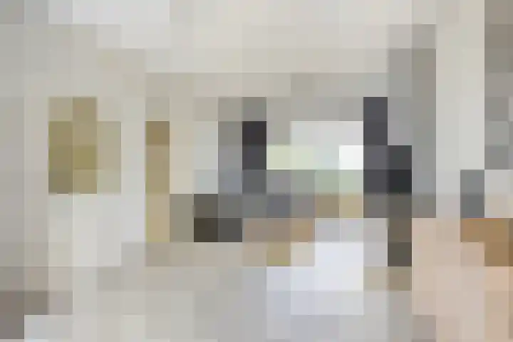 Groenhoeven 33 Wanroij thumbnail 4