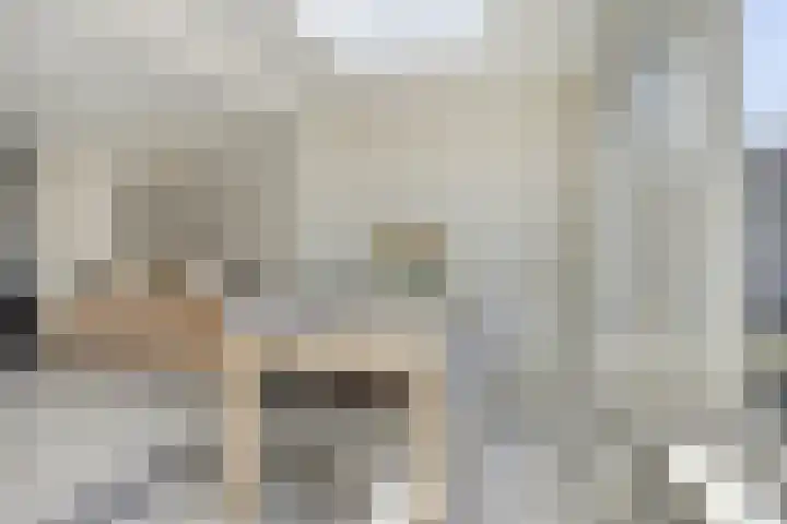 Groenhoeven 33 Wanroij thumbnail 7