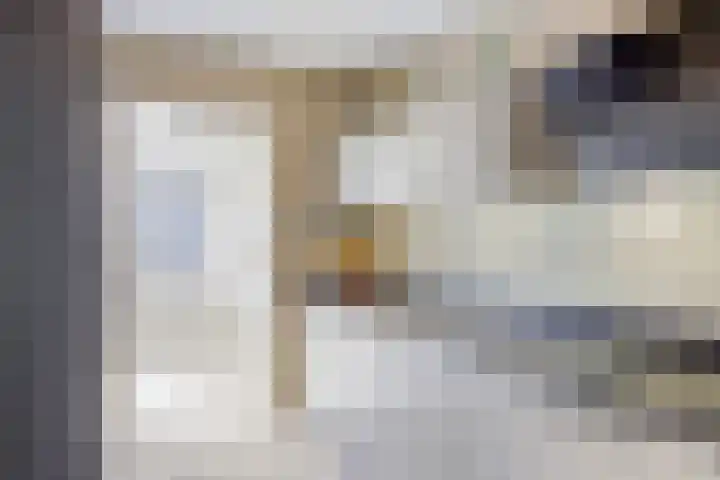 Groenhoeven 33 Wanroij thumbnail 9