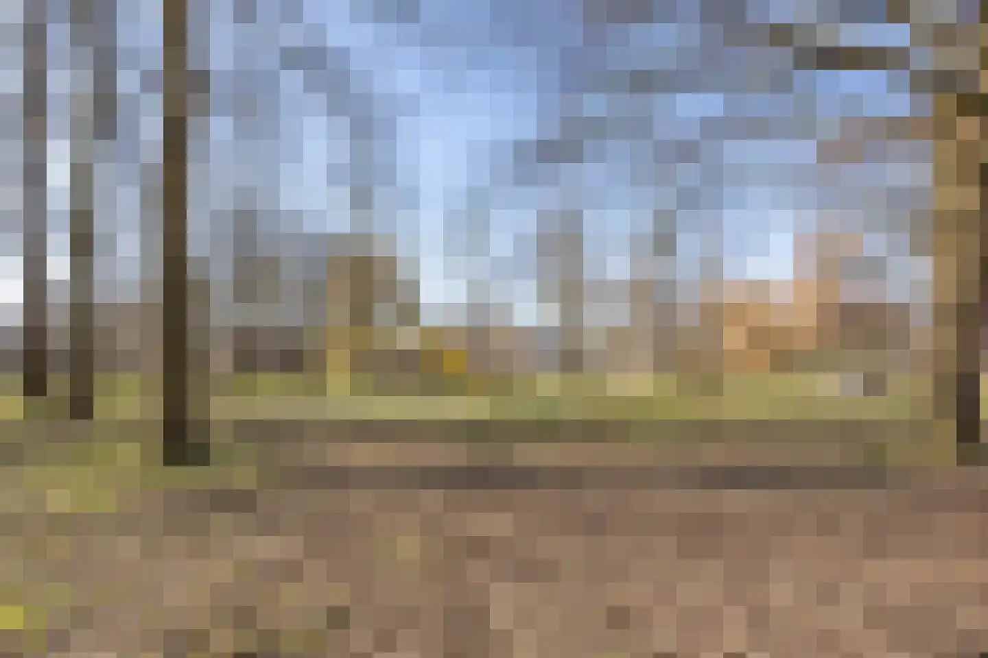 Groenhof 106 Almere thumbnail 28