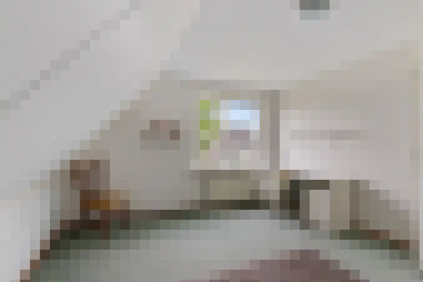Groenhof 11 Joure thumbnail 34
