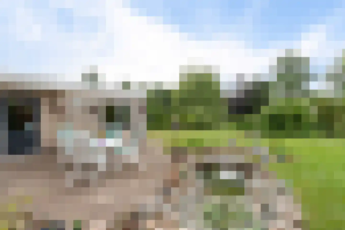 Groenhof 11 Joure thumbnail 39