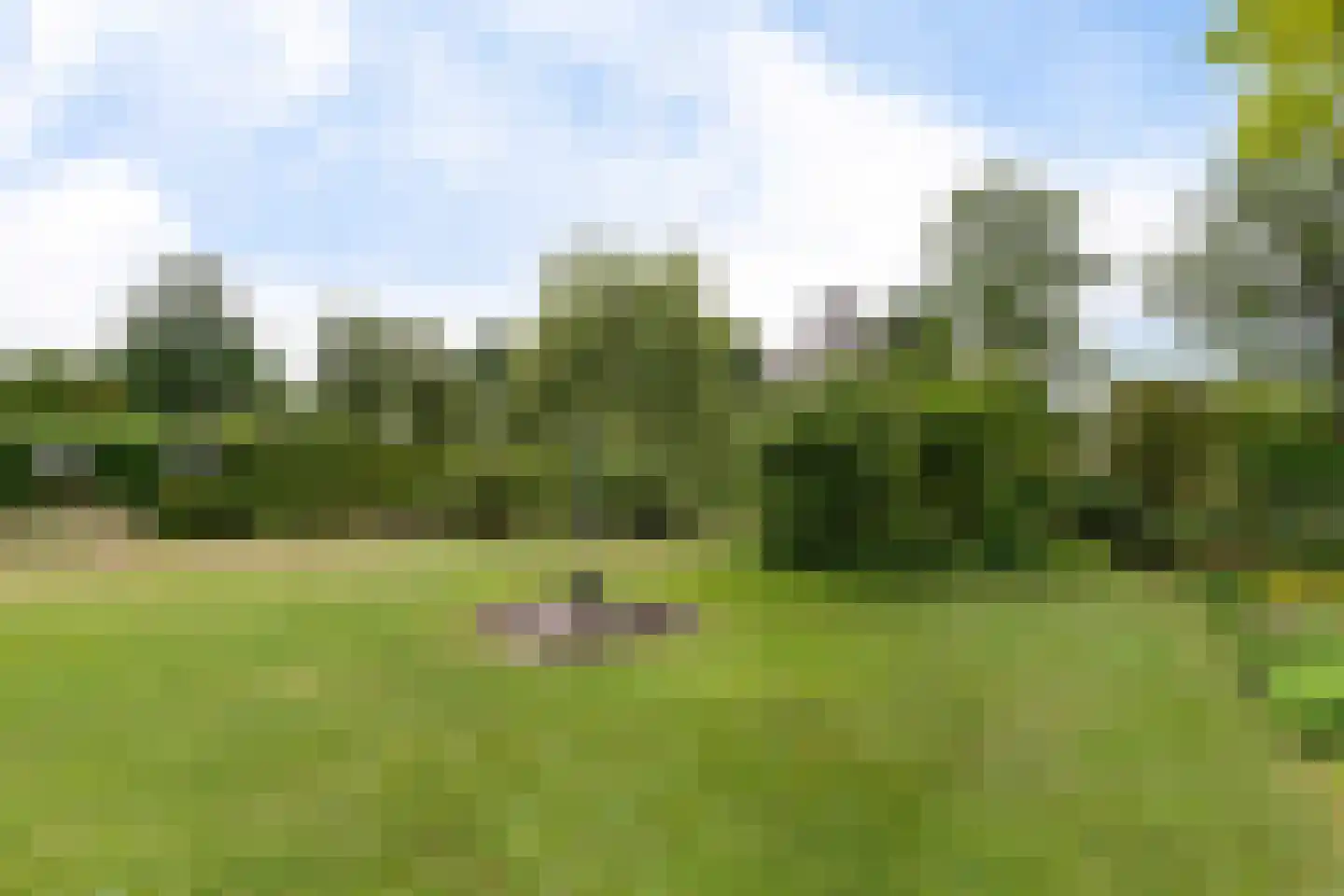 Groenhof 11 Joure thumbnail 41