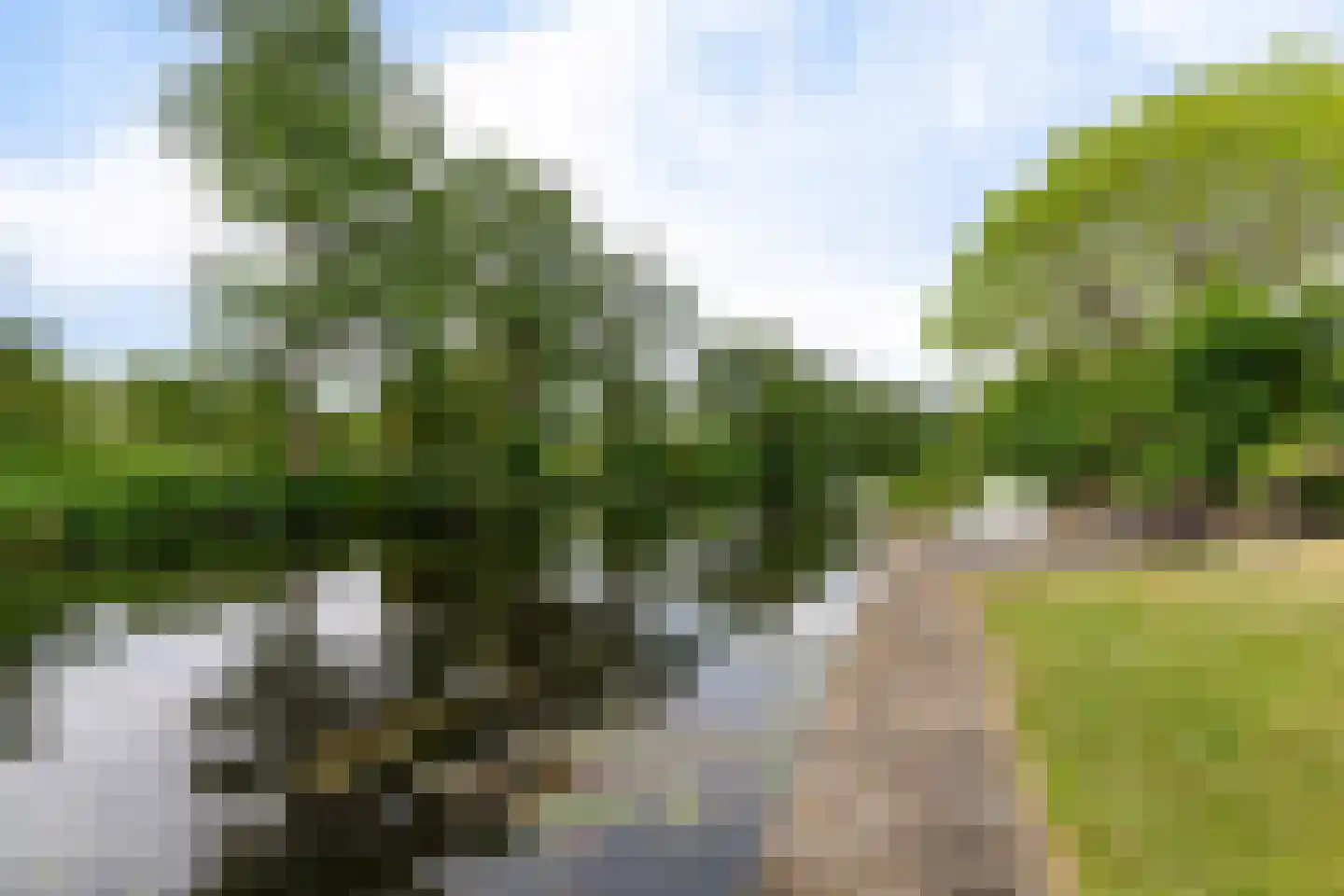 Groenhof 11 Joure thumbnail 42