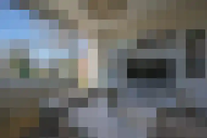 Groenhof 113 Almere thumbnail 10