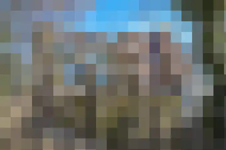 Groenhof 113 Almere thumbnail 31