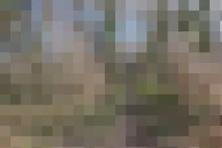 Groenhof 113 Almere thumbnail 35