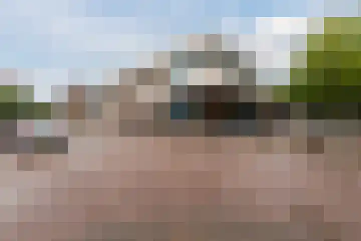 Groenhof 115 Almere thumbnail 46