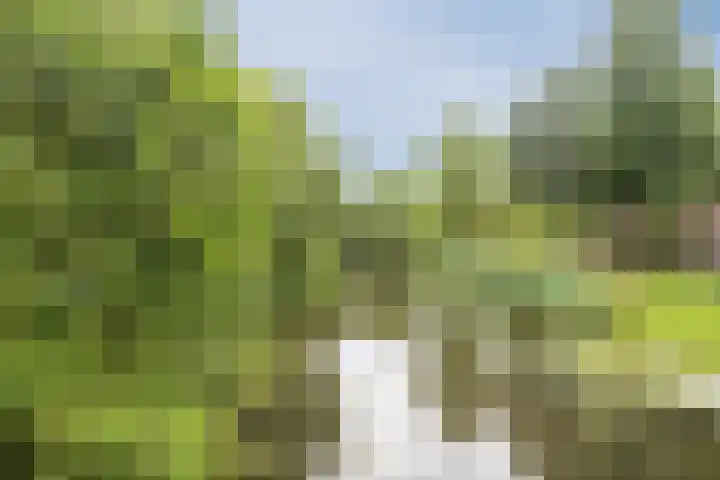 Groenhof 115 Almere thumbnail 49