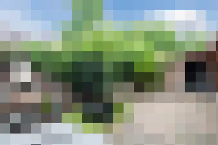 Groenhof 129 Almere thumbnail 33