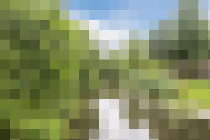 Groenhof 129 Almere thumbnail 39